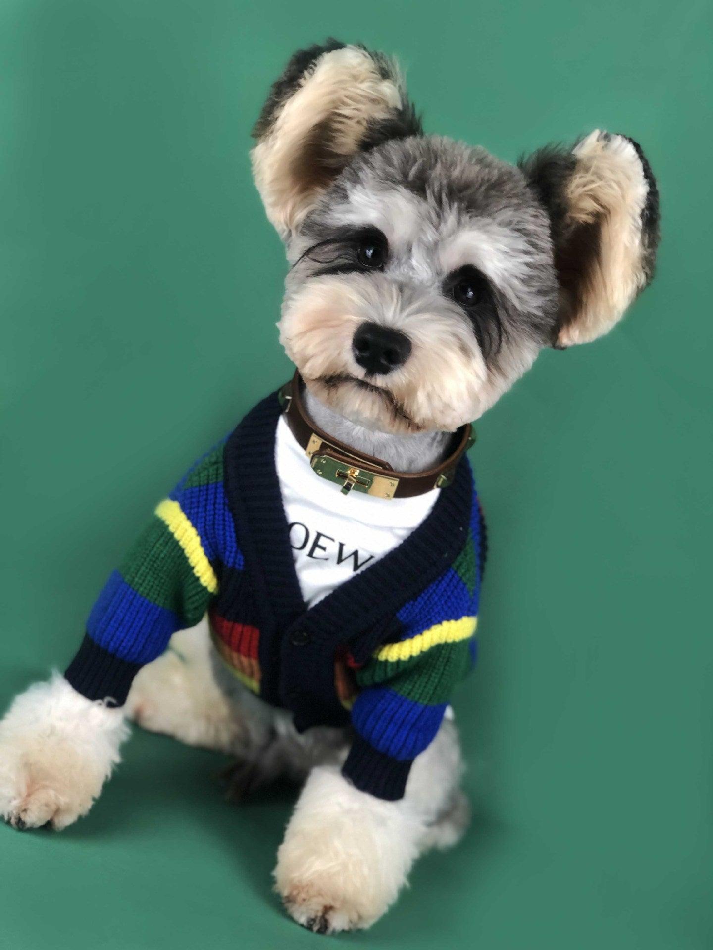 Rainbow Striped Dog Cardigan: A Burst Of Color For Your Pup-1