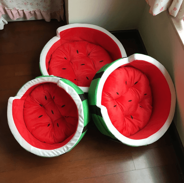 Juicy Oasis Pet Bed-3