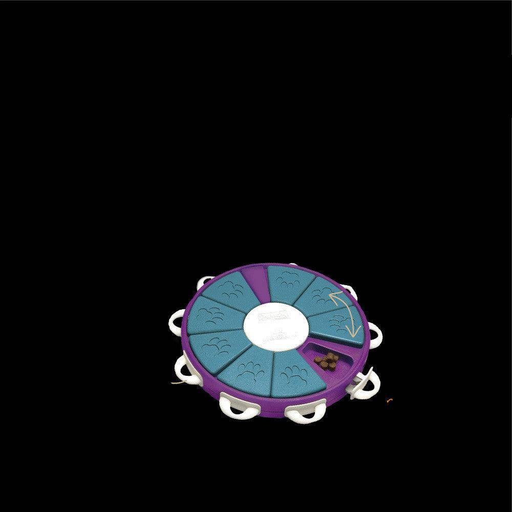 Interactive Canine Learning Set-2