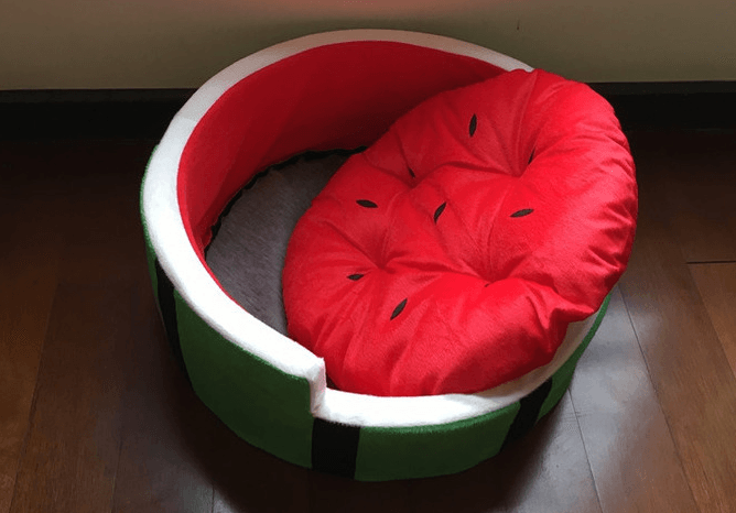 Juicy Oasis Pet Bed-2