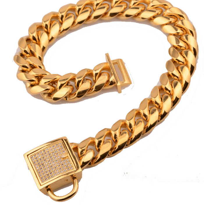 Golden Titanium Steel Encrypted Chain-1