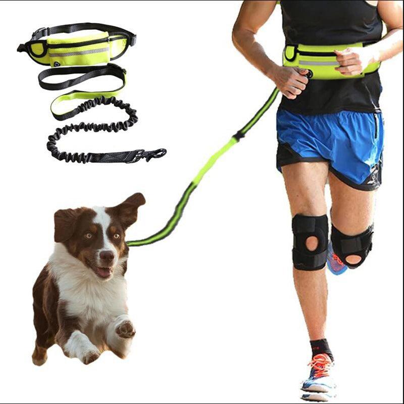 Ultimate Hands-Free Dog Leash Belt With Bungee Leash, Phone Pocket, And Water Bottle Holder-0