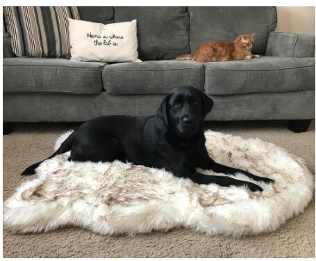 Luxurious Plush Pet Snuggle Blanket-0
