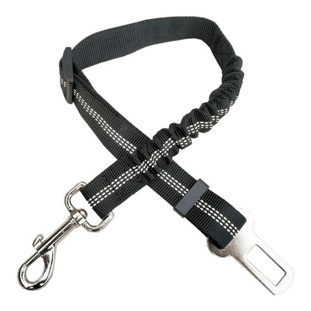 Car Elastic Safety Leash-2