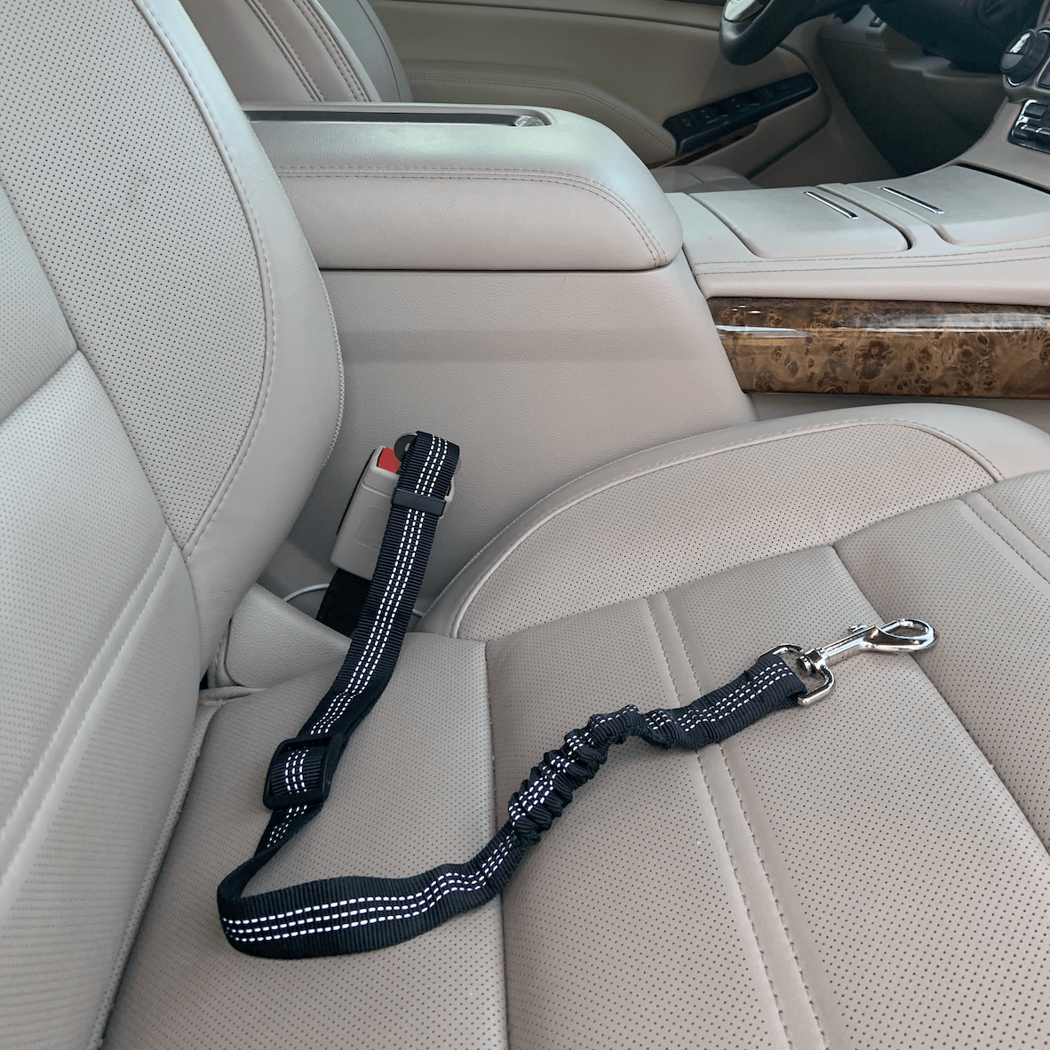 Car Elastic Safety Leash-0