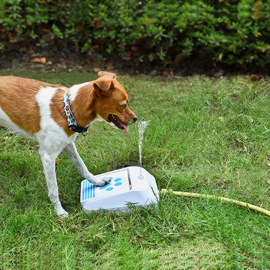 Intelligent Dog Water Fountain: The Ultimate Outdoor Hydration Solution For Your Pup-0