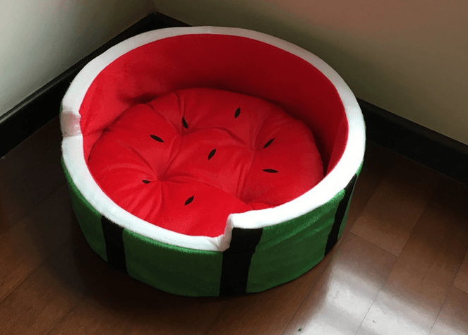 Juicy Oasis Pet Bed-0