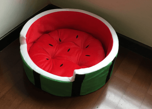 Juicy Oasis Pet Bed-0
