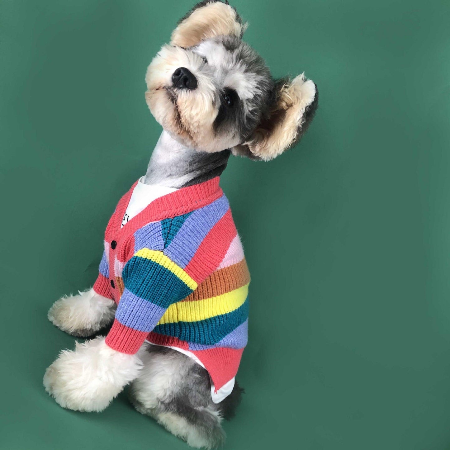 Rainbow Striped Dog Cardigan: A Burst Of Color For Your Pup-2