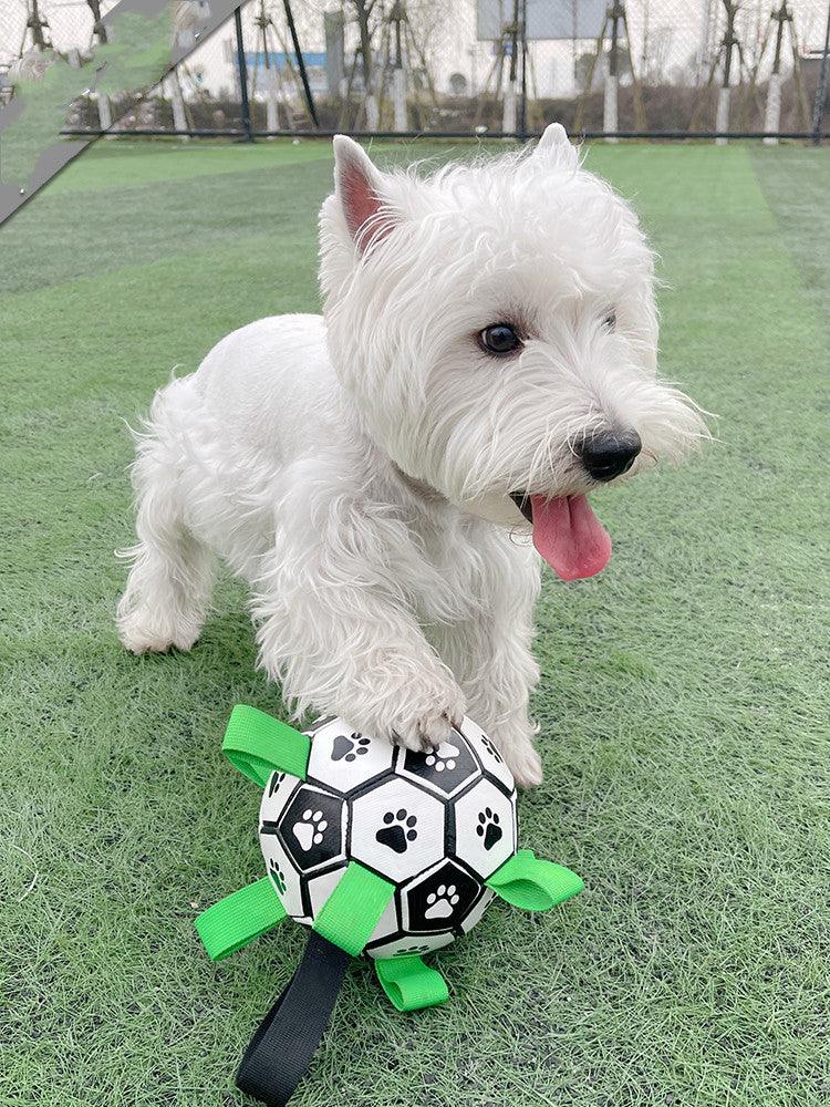 Lovely Paw Interactive Dog Football Toy-3