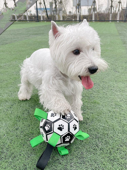 Lovely Paw Interactive Dog Football Toy-3
