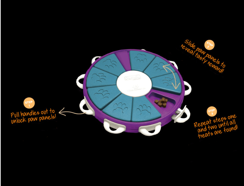 Interactive Canine Learning Set-1