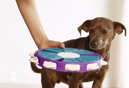 Interactive Canine Learning Set-3