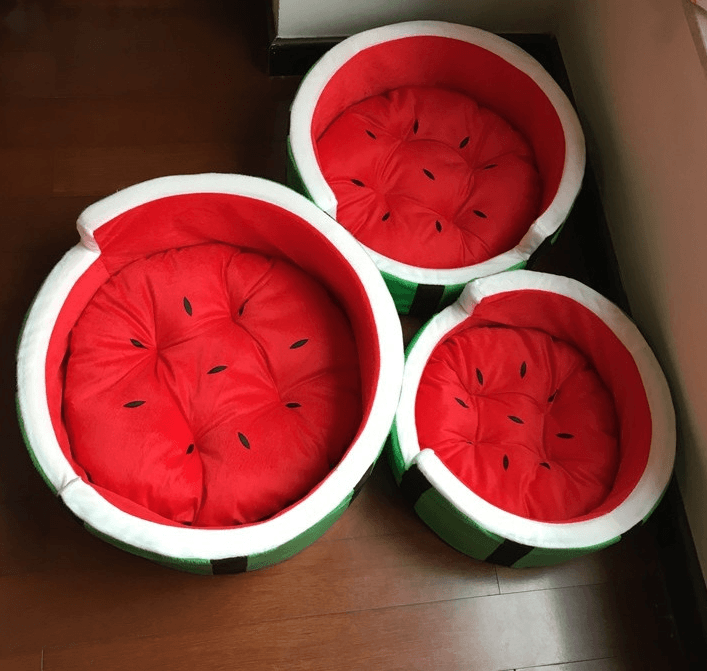 Juicy Oasis Pet Bed-4