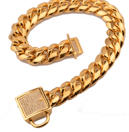 Golden Titanium Steel Encrypted Chain-1