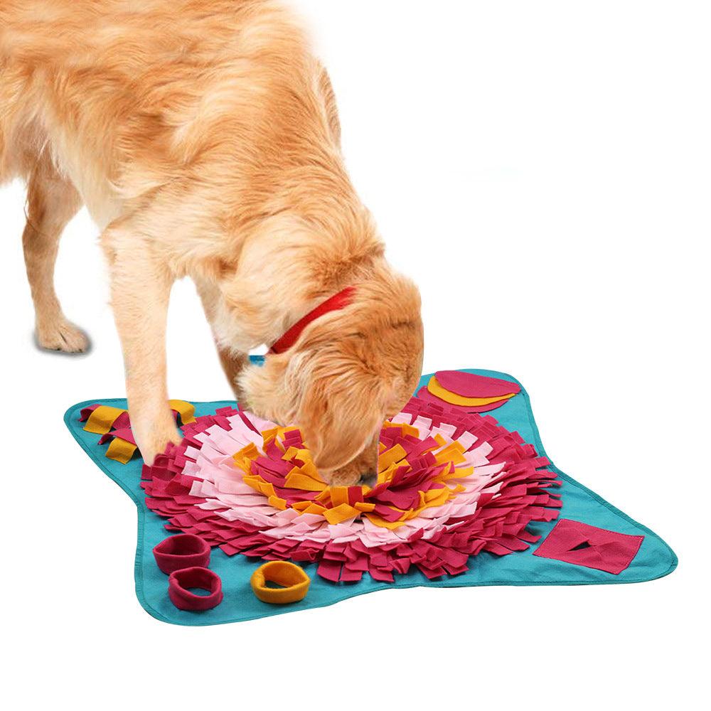 Interactive Pet Learning Toy-2