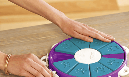 Interactive Canine Learning Set-4