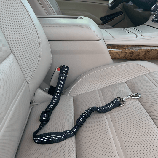 Car Elastic Safety Leash-0