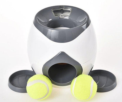 Automatic Pet Training And Feeding System-2