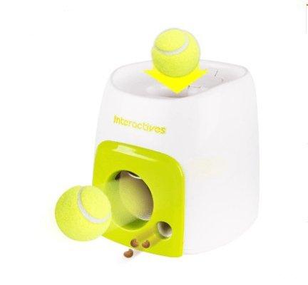 Automatic Pet Training And Feeding System-5