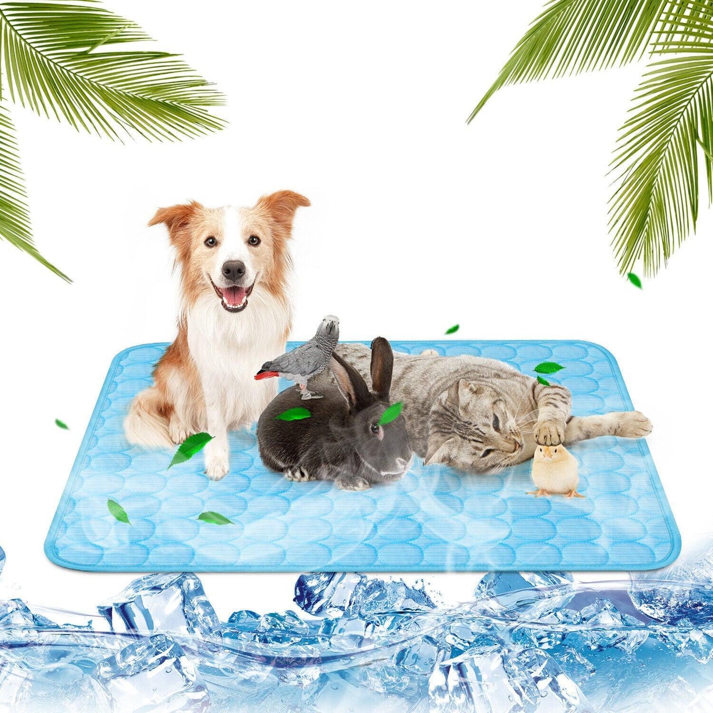Cool Comfort Pet Cooling Mat-2